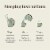 The Republic of Tea® Brain Boost Super Green Tea® Bags Perspective: right