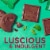 Ghirardelli® Milk Chocolate Mint Cookie Chocolates Perspective: right