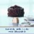 Ghirardelli® 100% Unsweetened Premium Baking Cocoa Powder Perspective: right