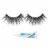 Ardell Big Beautiful Lashes Bae Eyelashes (Pack of 12) Perspective: right