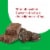 think! Girl Scouts Thin Mints High Protein Bar Perspective: right