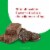 think! Girl Scouts Thin Mints High Protein Bar Perspective: right