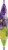 Takis Hot Nuts Smokin' Lime Chipotle Peanuts Perspective: right