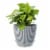 CURTIS WAGNER PLASTICS Vinyl Plant Saucer - Clear Perspective: right