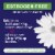 Enzymatic Therapy Remifemin® Goodnight Tablets Perspective: right