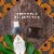 Nubian Heritage African Black Bar Soap Perspective: right