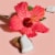 SheaMoisture Coconut and Hibiscus Hold and Shine Moisture Mist Perspective: right