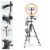 10x8.5 Ft Background Backdrop Stand Kit 12 LED Ring Light Dimmable Photo Video Perspective: right