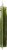 That's Tasty Organic Dill Perspective: right