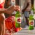 Stella Artois Premium Lager Beer Perspective: right