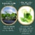 Window Garden Sango Purple Radish Grow Kit - Plant Home Garden, Juice Healthy Shots Perspective: right