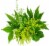 Assorted Filler Green Bunch Bouquet Perspective: right