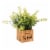 Bambeco LED Artificial Plant with Wood Box Perspective: right