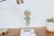 The Golden Girls 8 Inch Resin Bobblehead | Dorothy Zbornak Perspective: right