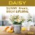 MRS MEYERS CLEAN DAY Liquid Hand Soap Daisy Perspective: right