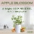 Mrs. Meyer’s Vinegar Gel Cleaning Spray, Apple Blossom Perspective: right