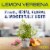Mrs. Meyer's Clean Day Lemon Verbena Concentrate Multi-Surface Cleaner Perspective: right