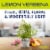 Mrs. Meyer's Clean Day Lemon Verbena Multi-Surface Everyday Cleaner Bottle Perspective: right