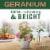Mrs. Meyer's Clean Day Geranium Scent Liquid Dish Soap Perspective: right