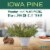 Mrs. Meyer's Clean Day Liquid Hand Soap, Iowa Pine Scent, 12.5 Ounce Bottle Perspective: right