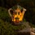 VP Home Watering Can Fairy Cottage LED Solar Light Decor, Flickering Garden Halloween Decor Perspective: right
