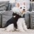 Touchdog Eskimo-Swag Duck-Down Parka Dog Coat Perspective: right