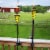 4-Pack Patio Torches Metal Swirl Yellow Glass Outdoor Lawn Garden Tabletop Decor Perspective: right