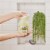 Dr Teal's® Prebiotic Lemon Balm Shea Sugar Scrub Perspective: right