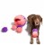 Midlee Hide a Ball Dog Toy - Pink/Purple (Large) Perspective: right