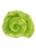 Crazy Aarons Avocado Putty Perspective: right