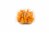 Fresh Kitchen Butternut Squash Perspective: right