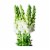 Premium Linear Flower Bunch Perspective: right