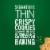 Tate's Bake Shop Coconut Crisp Cookies Perspective: right