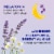 Dr Teal's® Calm Blend Melatonin Lavender & Chamomile Sleep Spray Perspective: right
