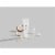 Native Body Lotion with Coconut & Vanilla Perspective: right