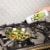 Chosen Foods 100% Pure Avocado Oil, Squeeze Bottle Perspective: right