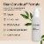 Honest Beauty | Calms + Hydrates | Gentle Gel Cleanser Perspective: right