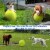 As Seen On TV Jumbo Pet Tennis Ball Perspective: right