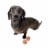Midlee Squeaky Mini Tennis Ball for Dogs 1.5 - Pack of 12 (Orange/Blue) Perspective: right