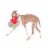 Midlee Gnome Hidden Ball Christmas Dog Toy Perspective: right