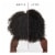 Carol's Daughter Black Vanilla Leave-In Conditioner For Dry, Dull, Brittle Hair Perspective: right