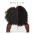 Carol's Daughter Black Vanilla Leave-In Conditioner For Dry, Dull, Brittle Hair Perspective: right