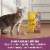 Meow Mix Tender Centers Dry Cat Food with Basted Bites, Chicken & Tuna Flavors Perspective: right