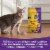 Meow Mix Original Choice Dry Cat Food Perspective: right