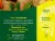 Amazing Grass Green Superfood Lemon-Lime Effervescent Greens Tablets Perspective: right