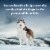 Blue Wilderness Wolf Creek Stew with Chicken Wet Dog Food Perspective: right