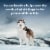 Blue Buffalo Wilderness Wolf Creek Stew High-Protein Wet Dog Food Hearty Salmon Stew in Gravy Perspective: right