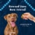 Blue Buffalo Wilderness Grain-Free Wild Bits Soft Dog Treats Salmon Perspective: right