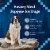 Blue Buffalo Wilderness Trail Toppers Wild Cuts High Protein Chicken Bites in Gravy Wet Dog Food Perspective: right