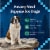 Blue Buffalo Wilderness Natural High-Protein Adult Wild Cuts Wet Dog Food Duck & Hearty Gravy Perspective: right